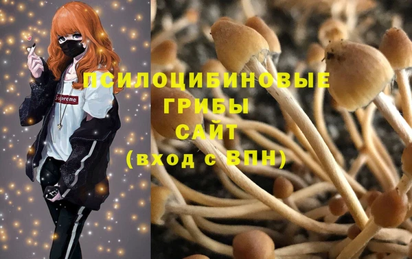героин Алексин