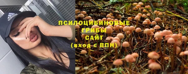 PSILOCYBIN Алзамай