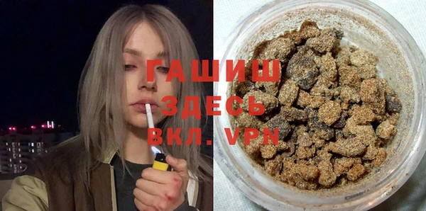 PSILOCYBIN Алзамай